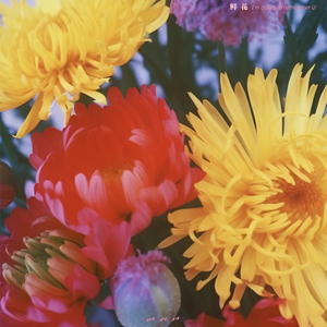 婬荡的短裙教师麻麻
